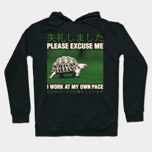 Please Excuse Me Turtle Hoodie